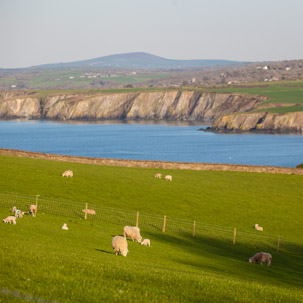 Dinas Island - 15 April 2014 / Dinas Island Farm