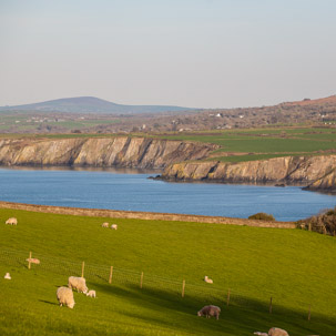 Dinas Island - 15 April 2014 / Dinas Island Farm