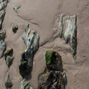 Whitesand Beach - 16 April 2014 / Rock pooling on Whitesand Beach