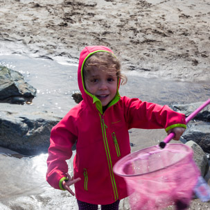 Whitesand Beach - 16 April 2014 / Rock pooling on Whitesand Beach