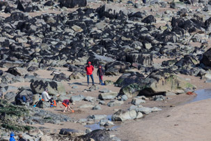 Whitesand Beach - 16 April 2014 / Rock pooling on Whitesand Beach