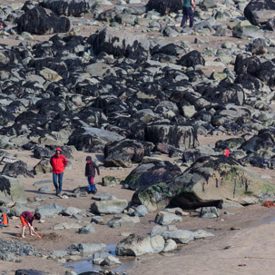 Whitesand Beach - 16 April 2014 / Rock pooling on Whitesand Beach