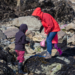 Whitesand Beach - 16 April 2014 / Rock pooling on Whitesand Beach