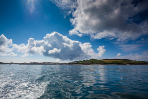 The Isles of Scilly - 20 July 2014 / We went on a boat tour to see the birds