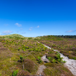 The Isles of Scilly - 22 July 2014 / Tresco beach