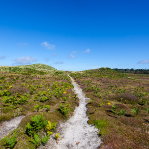 The Isles of Scilly - 22 July 2014 / Tresco beach