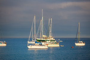 The Isles of Scilly - 22 July 2014 / Turks Head on St Agnes