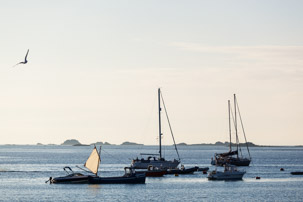 The Isles of Scilly - 22 July 2014 / Turks Head on St Agnes