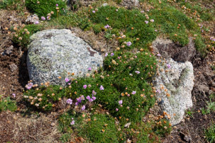 The Isles of Scilly - 23 July 2014 / St Agnes