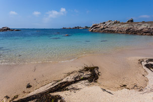 The Isles of Scilly - 23 July 2014 / St Agnes