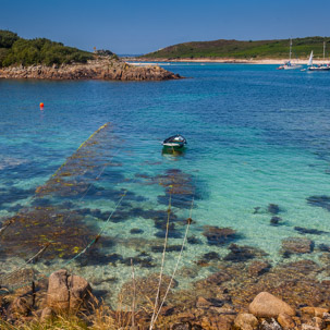 The Isles of Scilly - 23 July 2014 / St Agnes