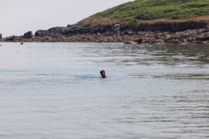The Isles of Scilly - 24 July 2014 / Jess swimming