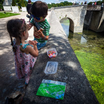 Saumur - 03 August 2014 / Loom bands