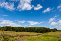 Greys Court - 17 August 2014 / Walk around Greys Court...