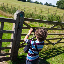 Greys Court - 17 August 2014 / Oscar taking photos