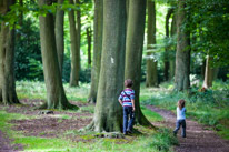 Greys Court - 17 August 2014 / Forest