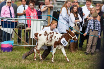 Henley-on-Thames - 13 September 2014 / Veal