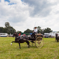 Henley-on-Thames - 13 September 2014 / Henley Show