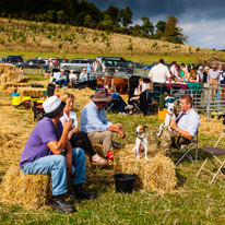 Henley-on-Thames - 13 September 2014 / Henley Show