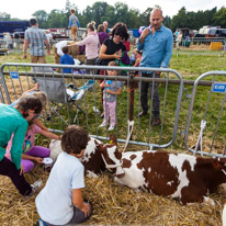 Henley-on-Thames - 13 September 2014 / Henley Show