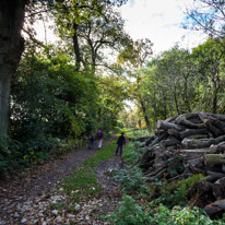 Cookley Green - 25 October 2014 / Start of the walk in the wood