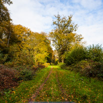 Cookley Green - 25 October 2014 / Footpath in the woods