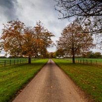 Cookley Green - 25 October 2014 / Farm