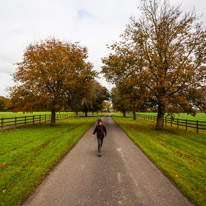 Cookley Green - 25 October 2014 / Oscar