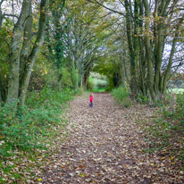 Cookley Green - 25 October 2014 / Alana