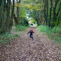 Cookley Green - 25 October 2014 / Oscar