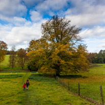 Cookley Green - 25 October 2014 / British Countryside