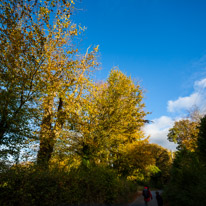 Cookley Green - 25 October 2014 / Blue Sky