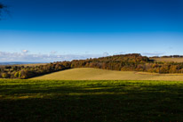 Cookley Green - 25 October 2014 / British Countryside