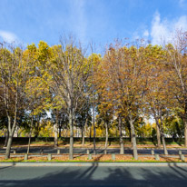 Paris - 30 October 2014 / Autumn colours