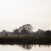 Henley Sailing Club - 20 November 2014 / I was at the club to get some fresh air but luckily I had my camera with me...