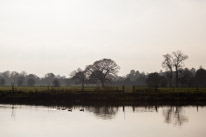 Henley Sailing Club - 20 November 2014 / One on my favourite spot on the River...