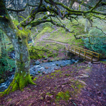 Brecon - 22 November 2014 / Magical place