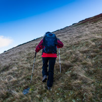 Brecon - 22 November 2014 / Jess walking hard uphill