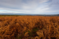 Brecon - 22 November 2014 / Black mountains