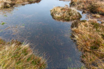 Brecon - 22 November 2014 / Black mountains