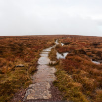 Brecon - 22 November 2014 / Bog