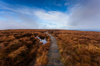 Brecon - 22 November 2014 / Bog