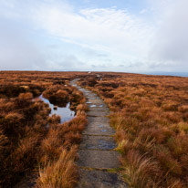 Brecon - 22 November 2014 / Bog on the top of the Black mountains