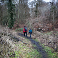 Henley-on-Thames - 25 January 2015 / Oscar and Jess ahead of us