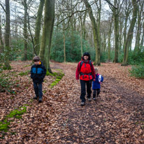 Henley-on-Thames - 25 January 2015 / The family walking in the forest