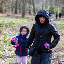 Henley-on-Thames - 1 March 2015 / Alana and Jess walking in the woods