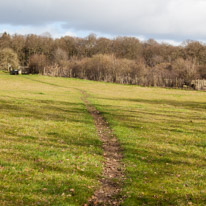 Henley-on-Thames - 1 March 2015 / Path in the countryside