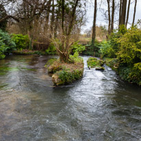 Mottisfont Abbey - 29 March 2015 / River near Mottisfont Abbey