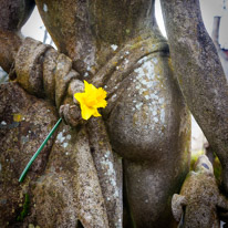 Mottisfont Abbey - 29 March 2015 / I love this photo of a daffodil on this statue