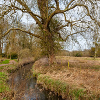 Mottisfont Abbey - 29 March 2015 / Mottisfont Abbey